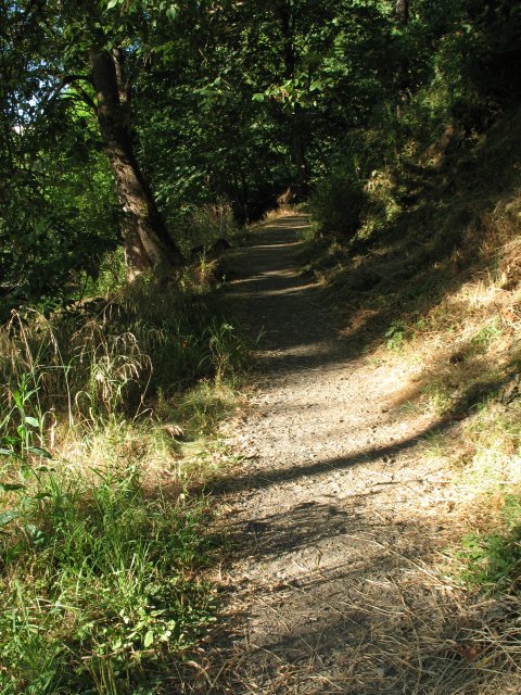 7.27.06 Oaks Bottom 025 